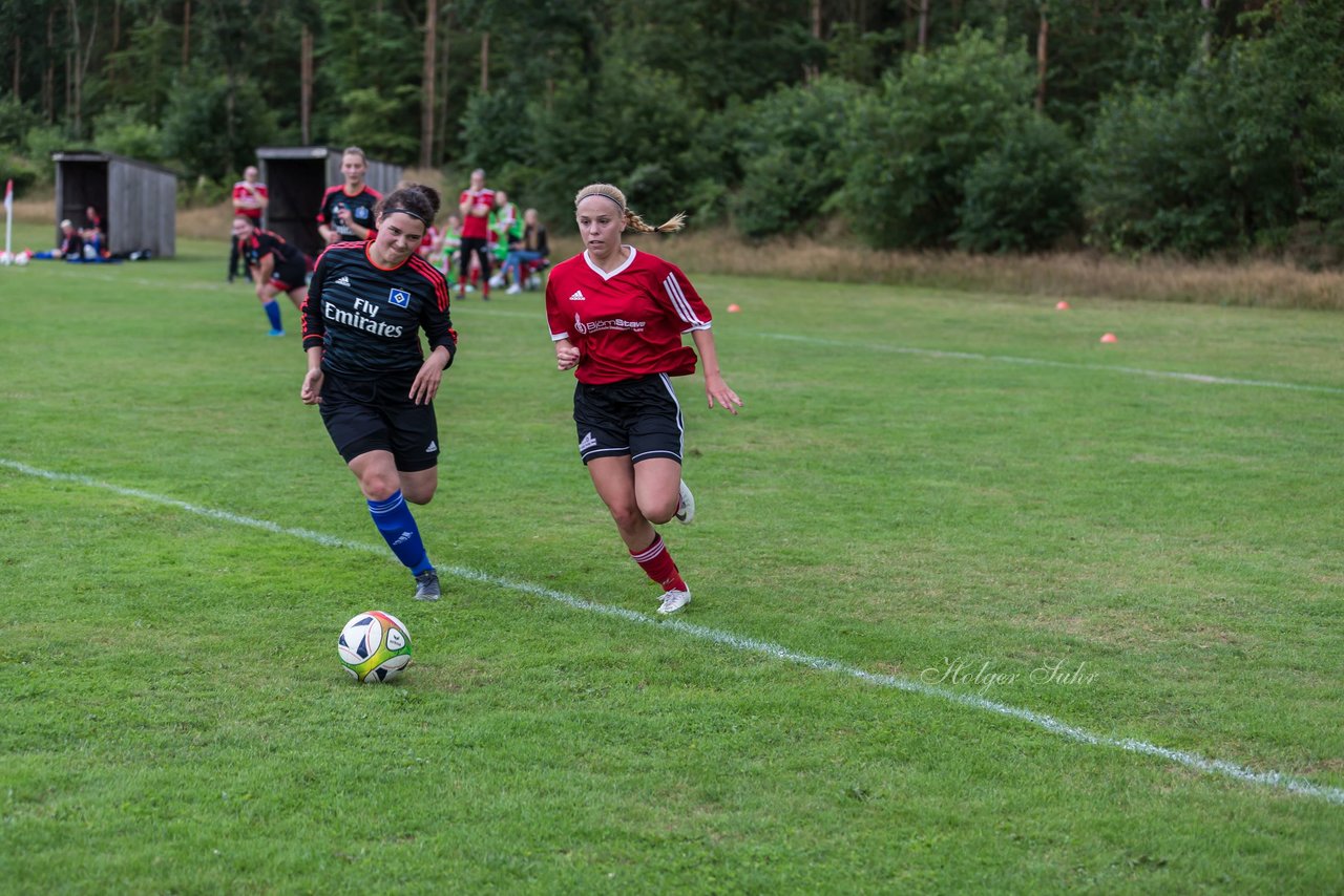 Bild 264 - Frauen SG NieBar - HSV 2 : Ergebnis: 4:3